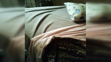 Rize’de 30 köy evine girip talan ettiler