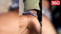 Video që po çmend ëebin/ Të rinjtë filmojnë hashashin që u lëviz në dorë (360video)