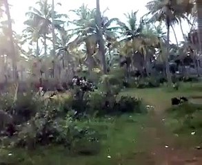 Funny Kerala people bike stunt accident