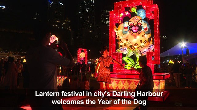 Chinese New Year lantern festival lights up Sydney harbour