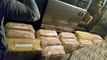 إحباط تهريب 389 كيلوغراماً من الكوكايين عُثِر عليهم في سفارة روسيا بالأرجنتين