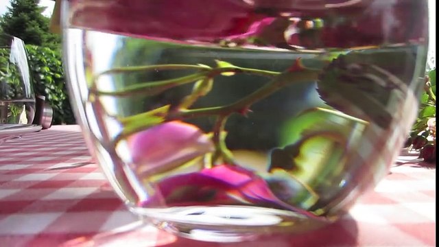 Abla & Kardeş Tatil || Casa Lavanda