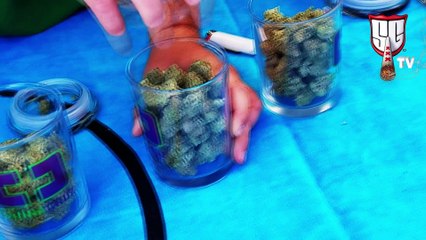 NorCal Cannabis Cup - Smokers Guide TV California