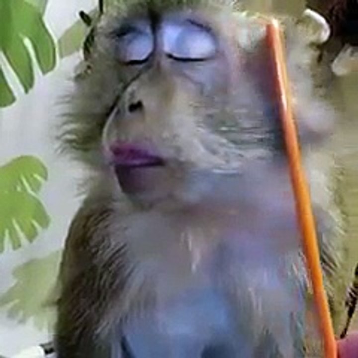 exclusive natures entertainment