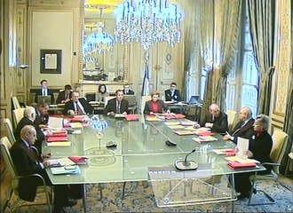 Affaire n° 2010-80 QPC