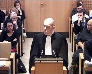 Affaire n° 2017-675 QPC