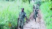  DR Congo army launches offensive against ADF rebels