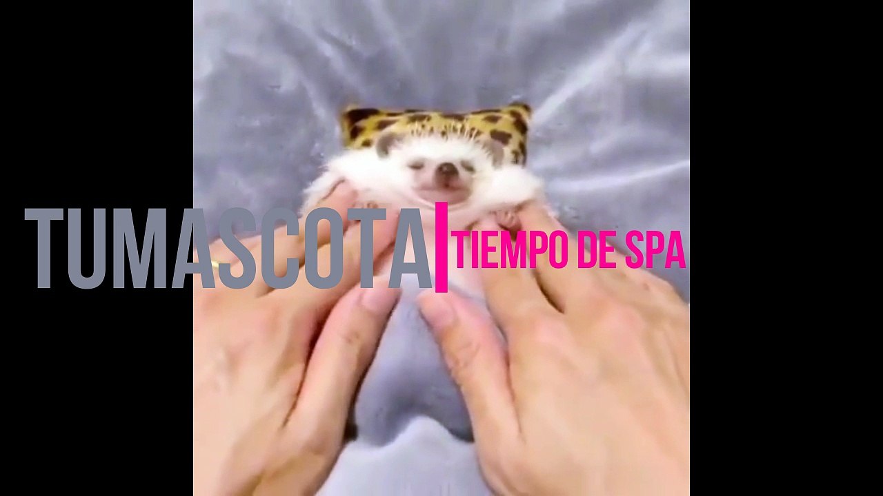 Time spa