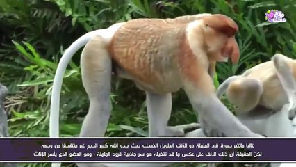 أسرار محرجة تخفيها الحيوانات عن البشر !