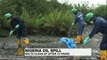 Nigeria oil spills: Shell begins clean-up after 10-year delay