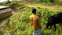 Landmines kill Bangladeshis near Myanmar as Rohingya crisis escalates