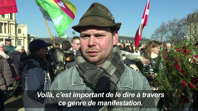 Salon de l'agriculture : vaches et brebis dans les rues de Paris