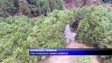 Honduras trabaja para combatir el cambio climatico