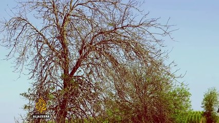 Canada's Dark Secret - Featured Documentaries