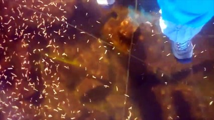 Sonidos extraterrestres en un lago helado insolito