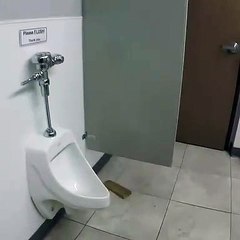 Este perro sabe cómo se ha de usar el baño