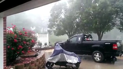 Fuerte tormenta arranca de golpe varios árboles