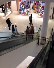 Download Video: Este perro tiene pánico y miedo  a las escaleras mecánicas