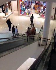 Este perro tiene pánico y miedo  a las escaleras mecánicas