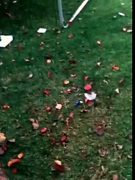 Backflip on Grass