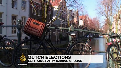 Dutch elections: Left-wing party gaining ground