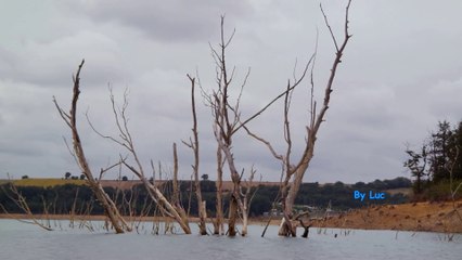 L'eau (Version Longue)