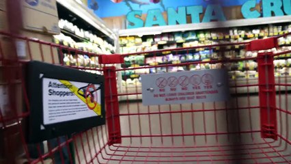 LOSING A SENSE OF PURPOSE WITH VAN LIFE