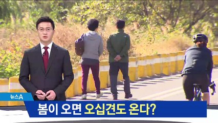 봄 오면 오십견 환자 급증…날씨 풀리는데 왜?