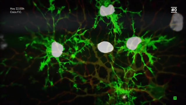 Documental 2018 | El poder de la mente - Inteligencia - Documental