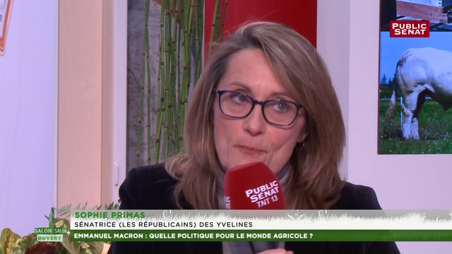 « Nous ne sommes pas du tout satisfaits par le plan loup », Sophie Primas (LR)