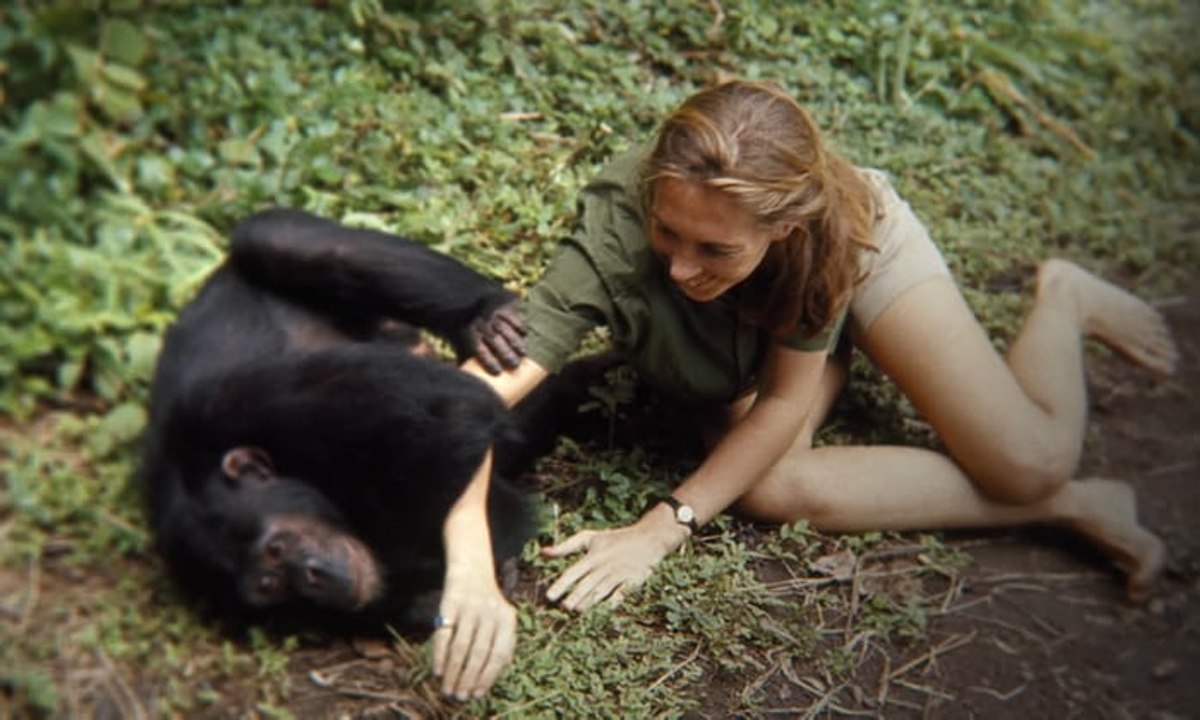 Jane FULL MOVIE FRee