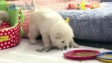 오줌판(♨) 만들고 천사처럼 잠든 삼둥이! (민교, 말잇못)