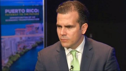 'Disaster Capitalism': Puerto Rico mulls utility privatisation