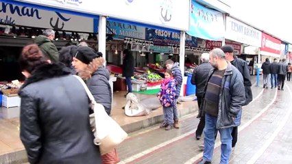 Kuzey Ege'de 4,5 Metrelik Köpek Balığı Yakalandı