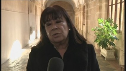 Narbona: El gobierno no puede mirar para otro lado tras los incidentes en Bilbao
