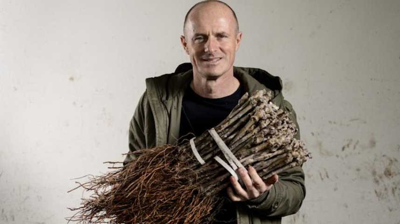 "A cause du clonage, tous les vins se ressembleront"