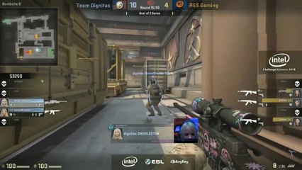 EMUHLEET AWP Double
