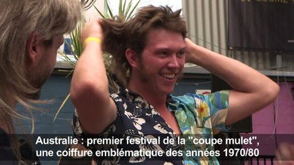 Insolite : un festival australien célèbre la "coupe mulet"