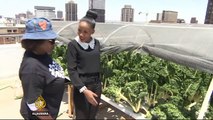 Rooftop urban farming feeds South Africa’s poor