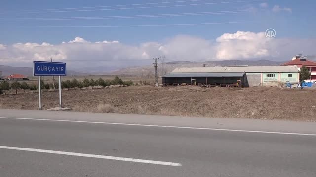 Şarkışla'da Büyükbaş Hayvan Hırsızlığı