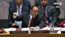 Consejo de Seguridad de ONU respalda cese al fuego en Siria