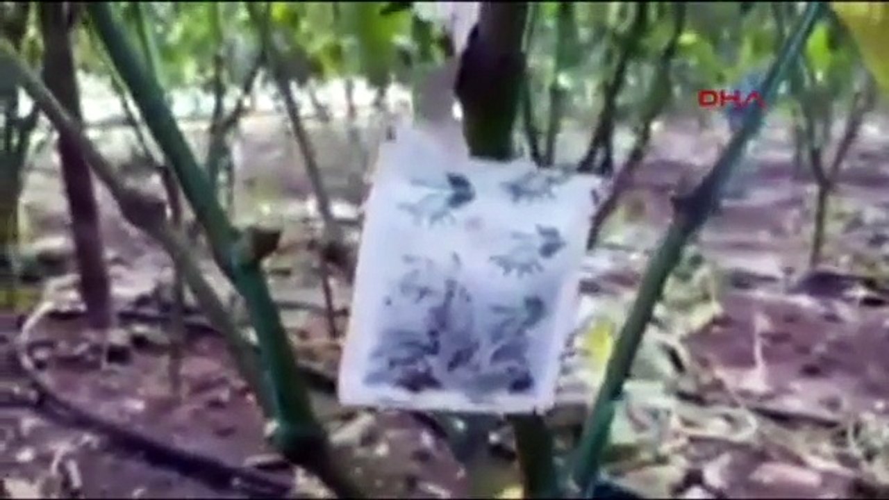 İroni yapan öğretmen görevden uzaklaştırıldı