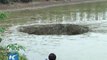 Ce fermier chinois a perdu 25 tonnes de poissons quand son lac s'est vidé subitement... Histoire incroyable