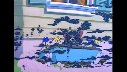 Tom and Jerry, 51  - Safety Second (1950)