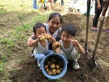 【夏休み】ジャガイモ掘りに挑戦したよ♪ 4歳のトレーシーと2歳のスティーブ ★Tried digging potatoes in the park★