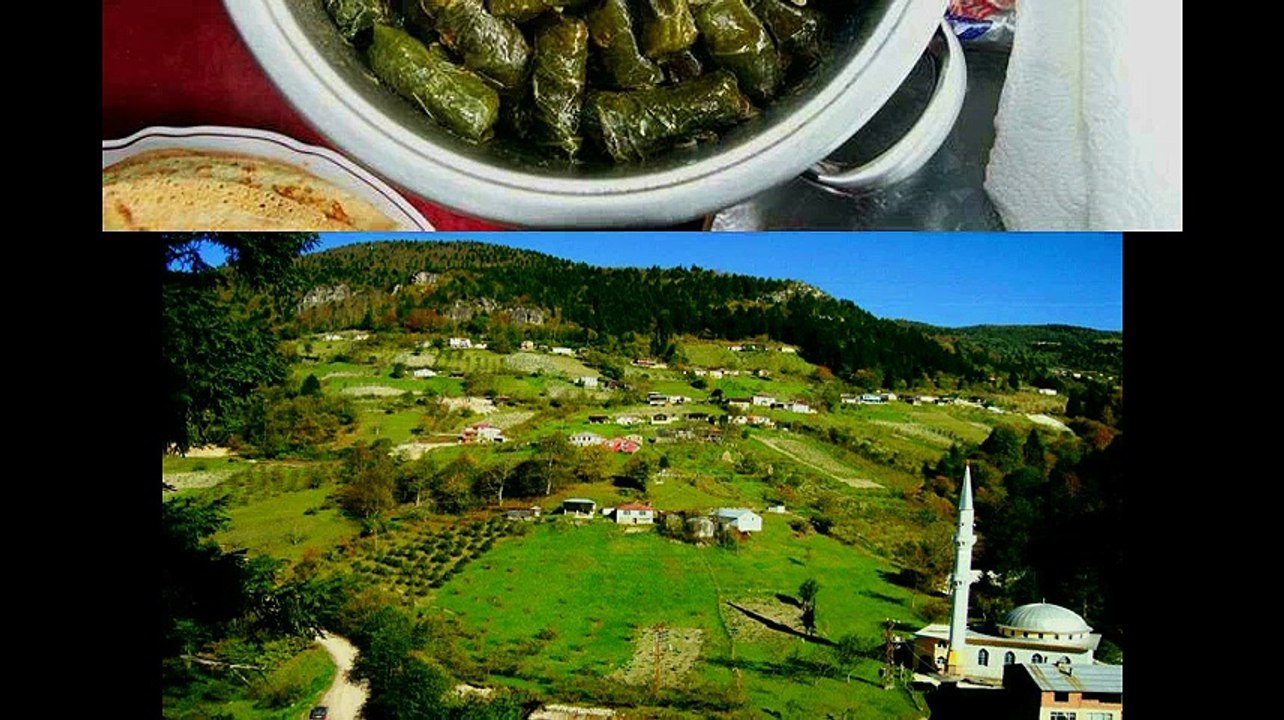 Şalpazarı Çamlıca Köyü