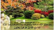استغاثة أهل النار بأهل الجنة تلاوة مبكية مؤثرة خاشعة  ناصر القطامي