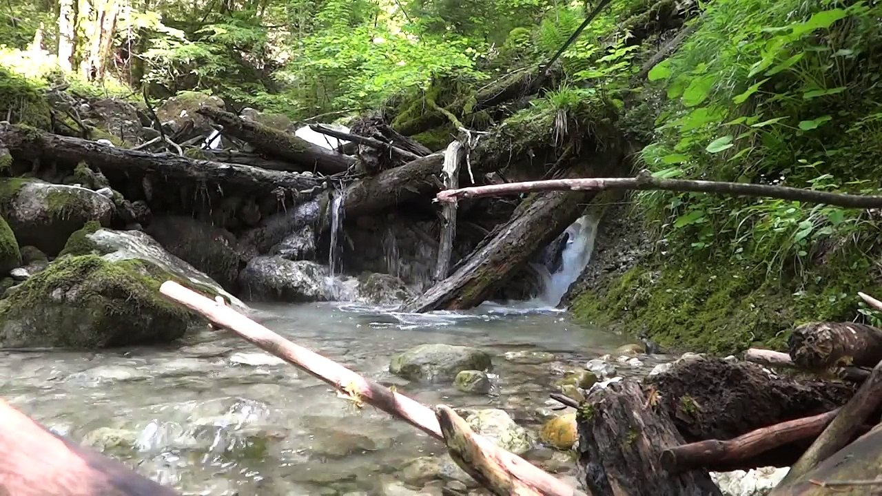 Peche de la truite au toc au ruisseau de Grepy en Chartreuse