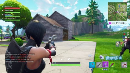 Fortnite Deagle Madness