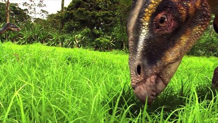 What Did Dinosaurs Eat-